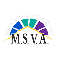 Mt. Signal Virtual Academy Logo
